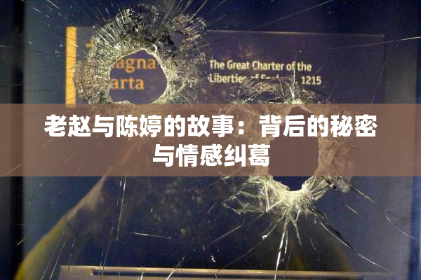老赵与陈婷的故事：背后的秘密与情感纠葛