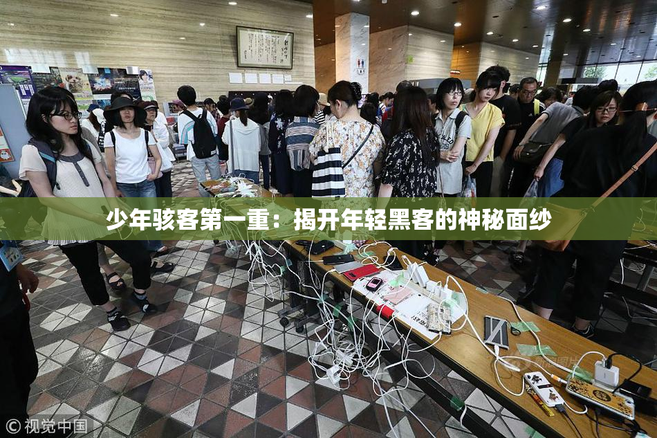 少年骇客第一重：揭开年轻黑客的神秘面纱