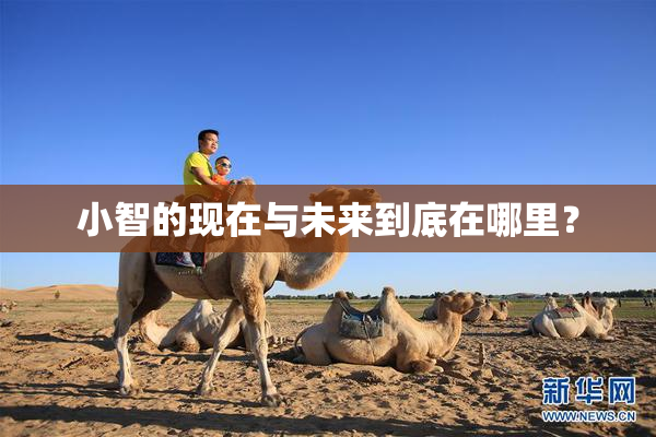 小智的现在与未来到底在哪里？