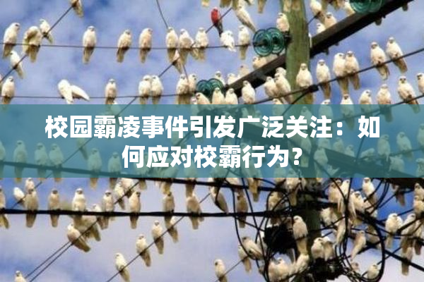 校园霸凌事件引发广泛关注：如何应对校霸行为？
