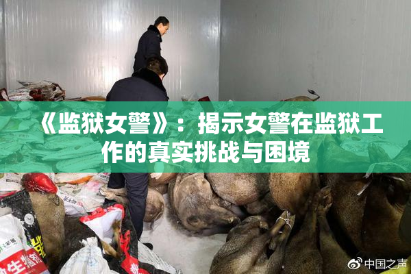 《监狱女警》：揭示女警在监狱工作的真实挑战与困境