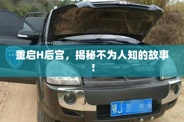 重启H后宫，揭秘不为人知的故事！