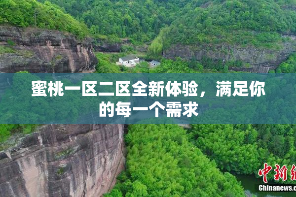 蜜桃一区二区全新体验，满足你的每一个需求