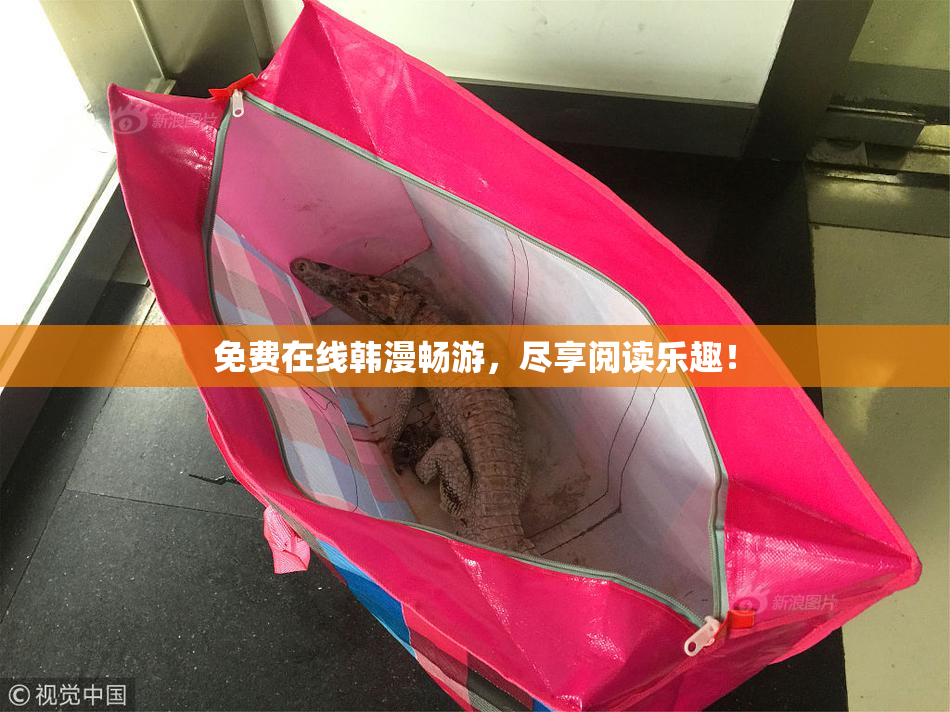 免费在线韩漫畅游，尽享阅读乐趣！