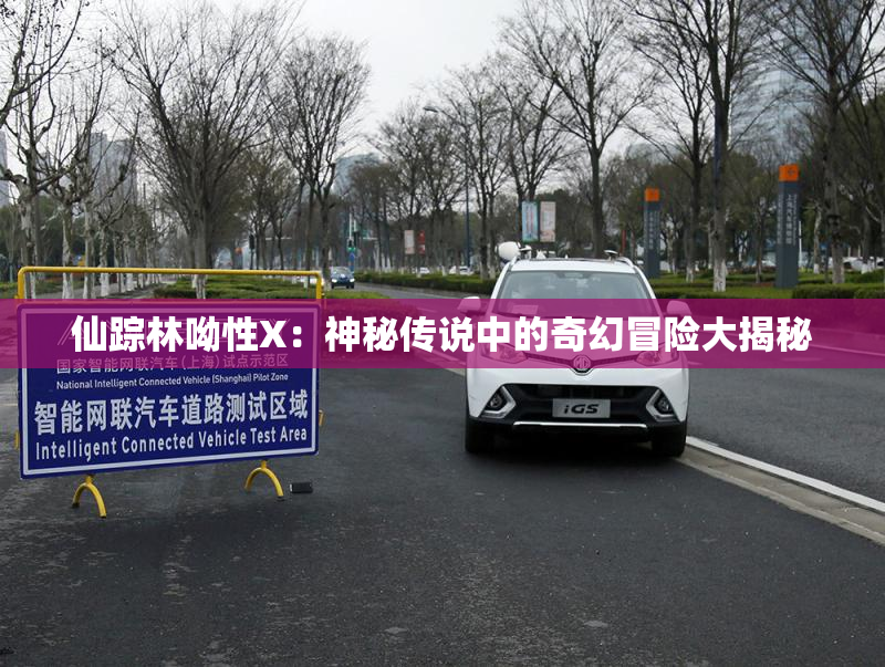 仙踪林呦性X：神秘传说中的奇幻冒险大揭秘