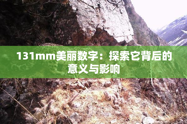 131mm美丽数字：探索它背后的意义与影响