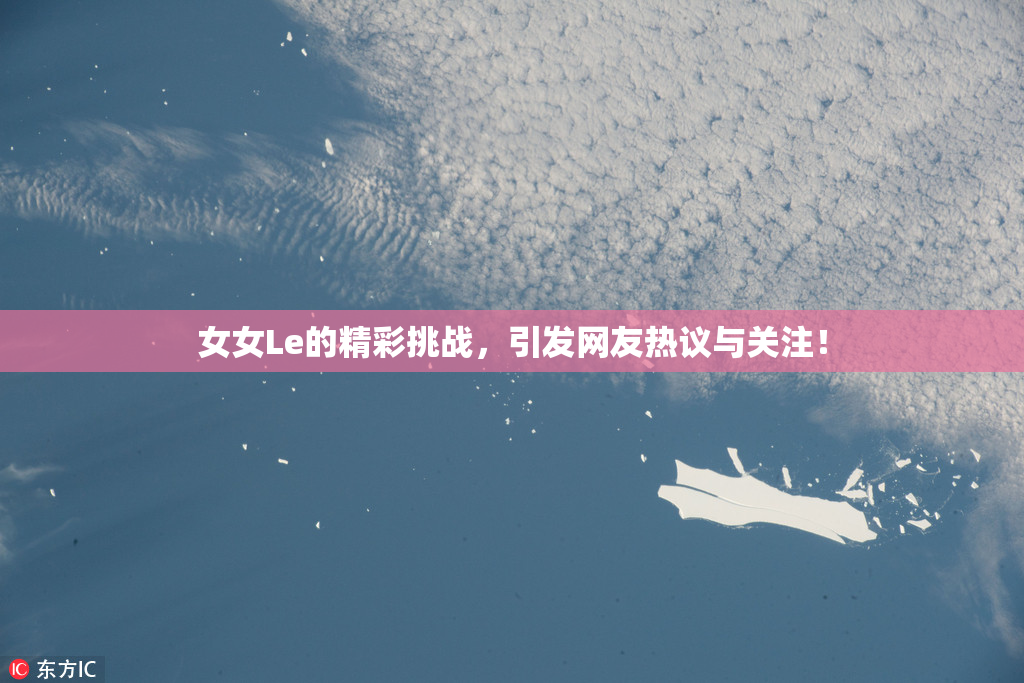 女女Le的精彩挑战，引发网友热议与关注！