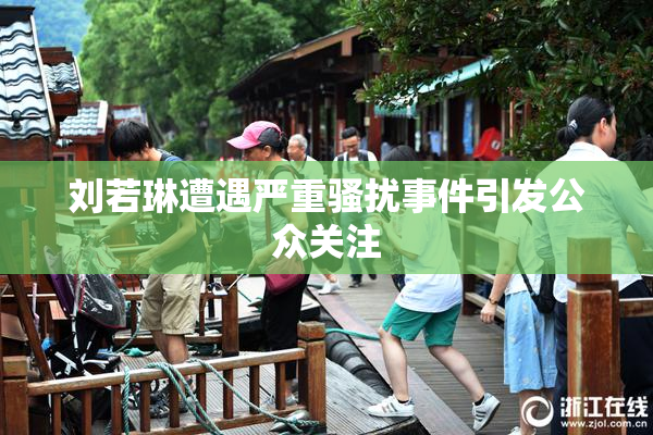 刘若琳遭遇严重骚扰事件引发公众关注