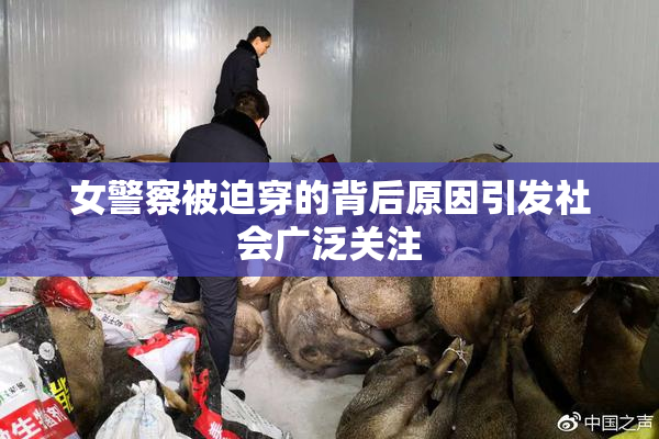 女警察被迫穿的背后原因引发社会广泛关注