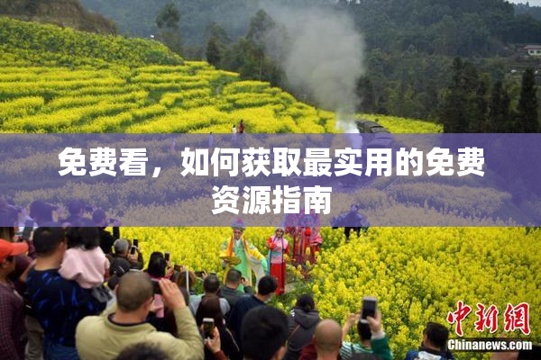 免费看，如何获取最实用的免费资源指南