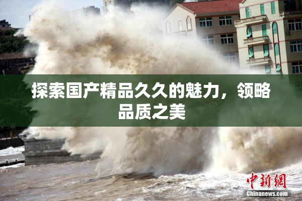 探索国产精品久久的魅力，领略品质之美