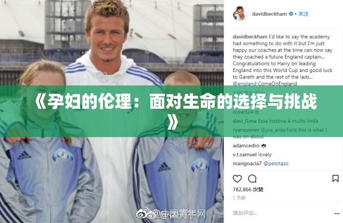 《孕妇的伦理：面对生命的选择与挑战》