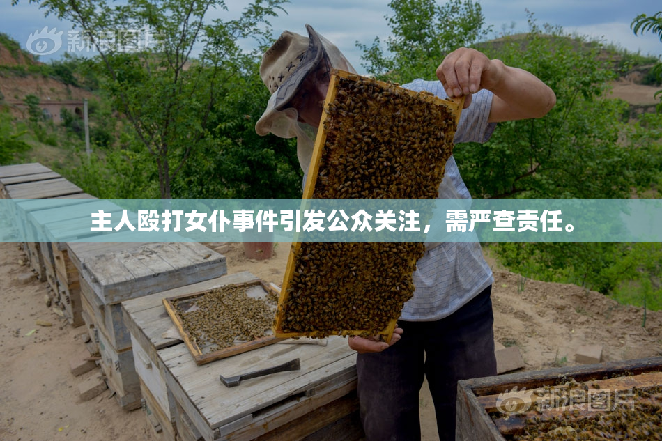 主人殴打女仆事件引发公众关注，需严查责任。