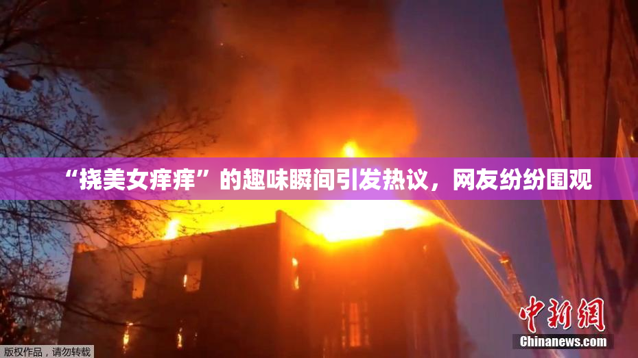 “挠美女痒痒”的趣味瞬间引发热议，网友纷纷围观