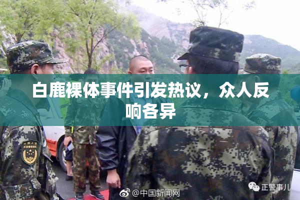 白鹿裸体事件引发热议，众人反响各异