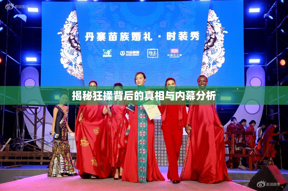 揭秘狂揉背后的真相与内幕分析