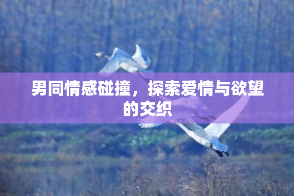 男同情感碰撞，探索爱情与欲望的交织