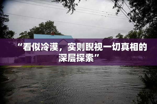 “看似冷漠，实则睨视一切真相的深层探索”