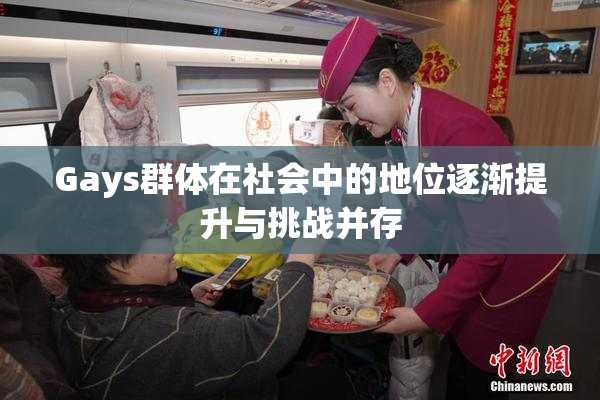 Gays群体在社会中的地位逐渐提升与挑战并存