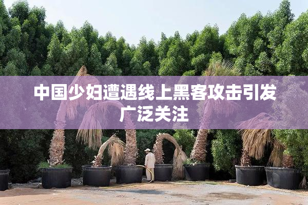 中国少妇遭遇线上黑客攻击引发广泛关注