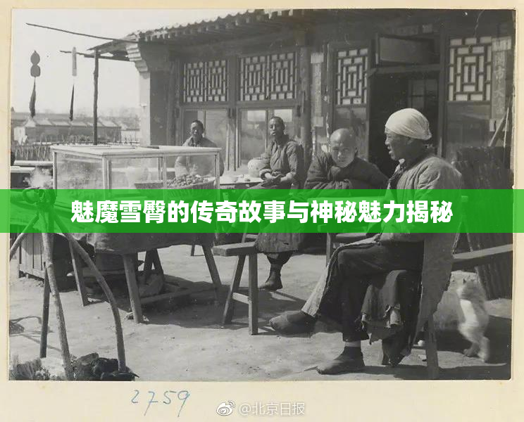 魅魔雪臀的传奇故事与神秘魅力揭秘