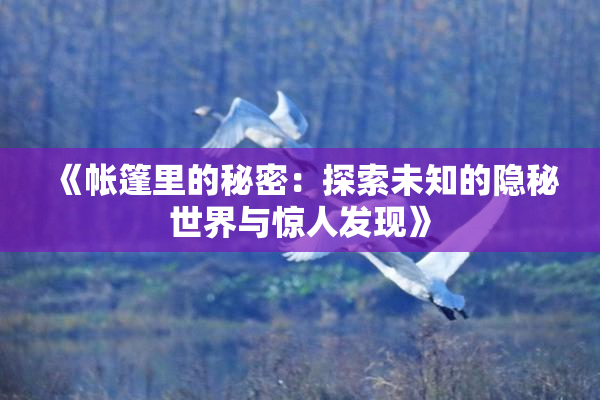 《帐篷里的秘密：探索未知的隐秘世界与惊人发现》