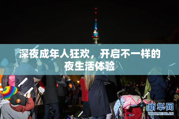 深夜成年人狂欢，开启不一样的夜生活体验