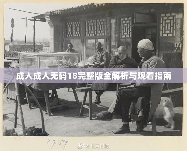 成人成人无码18完整版全解析与观看指南