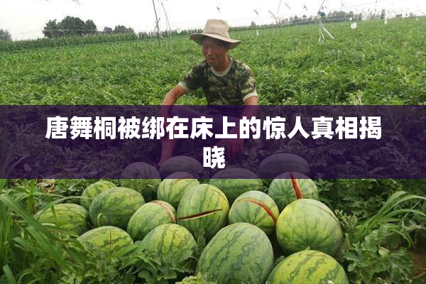 唐舞桐被绑在床上的惊人真相揭晓
