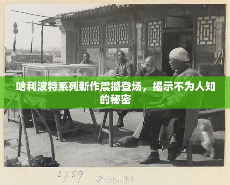 哈利波特系列新作震撼登场，揭示不为人知的秘密