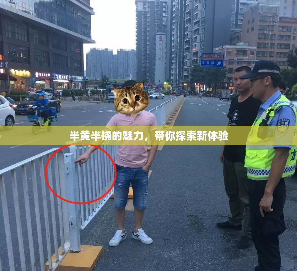 半黄半挠的魅力，带你探索新体验