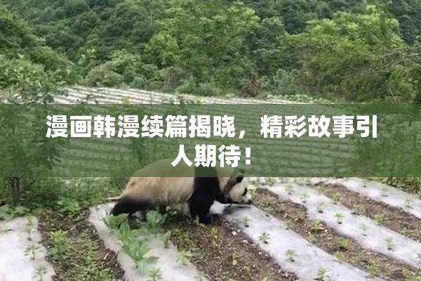 漫画韩漫续篇揭晓，精彩故事引人期待！