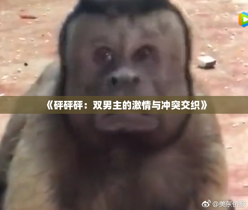 《砰砰砰：双男主的激情与冲突交织》