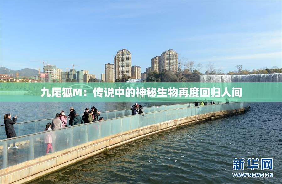 九尾狐M：传说中的神秘生物再度回归人间