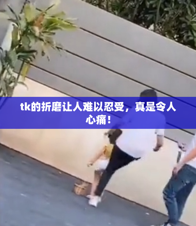 tk的折磨让人难以忍受，真是令人心痛！