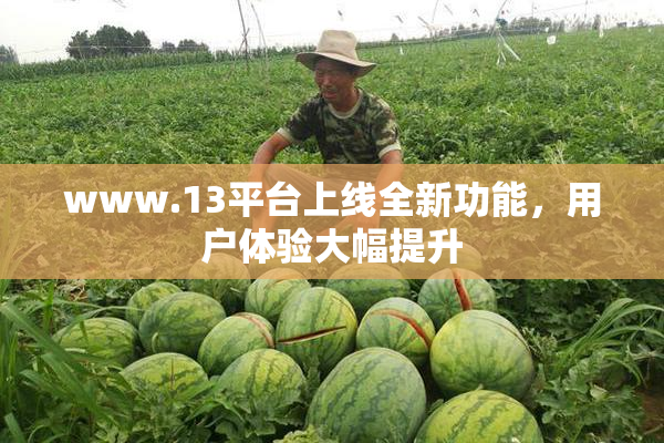 www.13平台上线全新功能，用户体验大幅提升