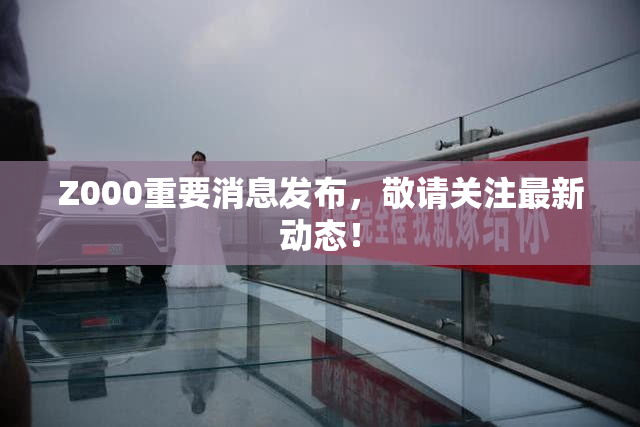 Z000重要消息发布，敬请关注最新动态！