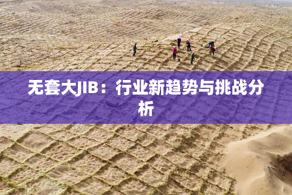 无套大JIB：行业新趋势与挑战分析