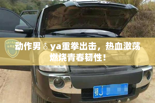 动作男♂ya重拳出击，热血激荡燃烧青春韧性！