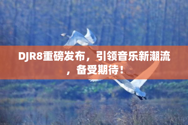DJR8重磅发布，引领音乐新潮流，备受期待！