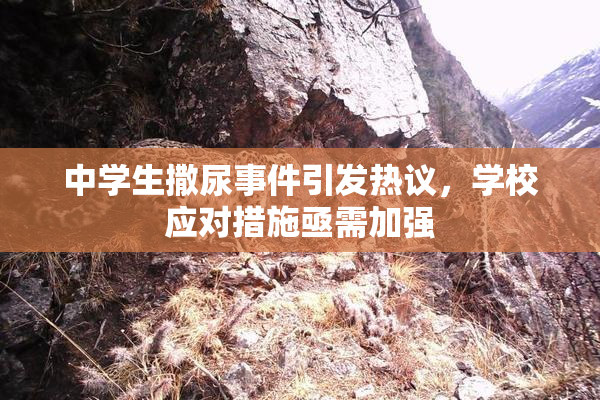 中学生撒尿事件引发热议，学校应对措施亟需加强