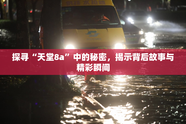 探寻“天堂8a”中的秘密，揭示背后故事与精彩瞬间