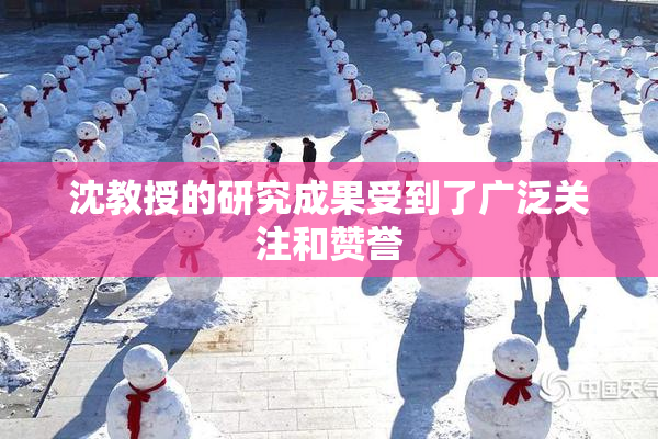 沈教授的研究成果受到了广泛关注和赞誉