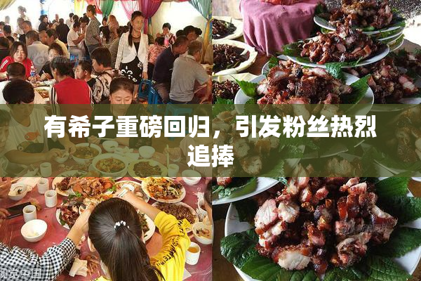 有希子重磅回归，引发粉丝热烈追捧