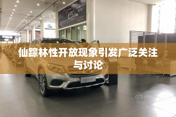 仙踪林性开放现象引发广泛关注与讨论