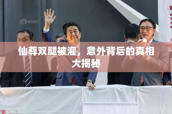 仙尊双腿被灌，意外背后的真相大揭秘
