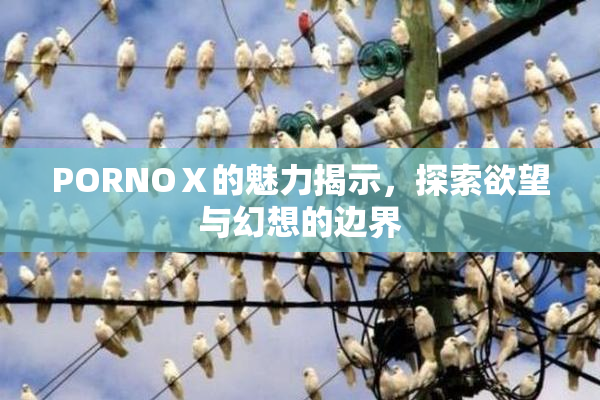 PORNOⅩ的魅力揭示，探索欲望与幻想的边界