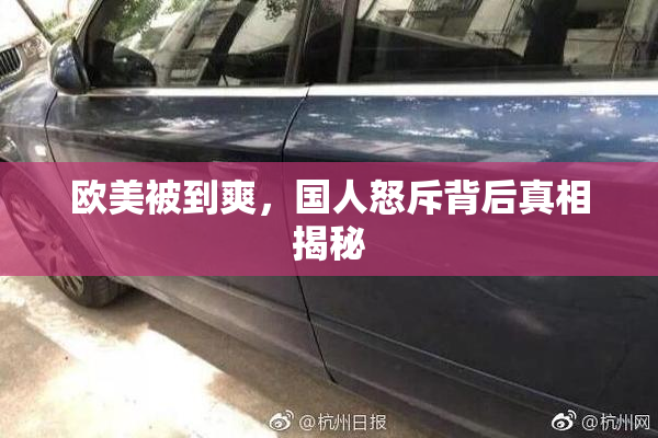 欧美被到爽，国人怒斥背后真相揭秘