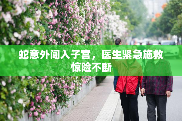 蛇意外闯入子宫，医生紧急施救惊险不断