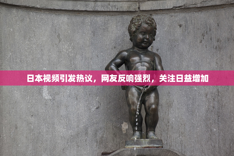 日本视频引发热议，网友反响强烈，关注日益增加